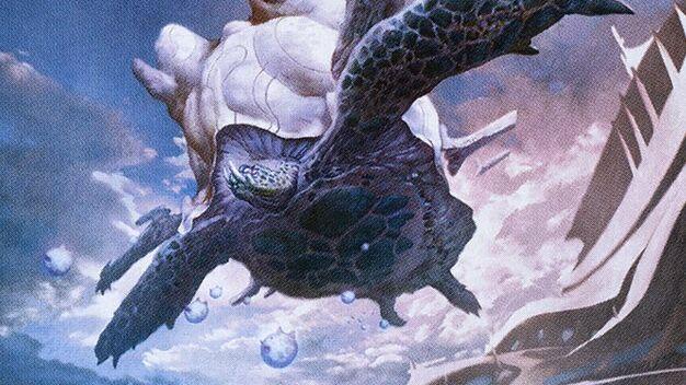Header Image